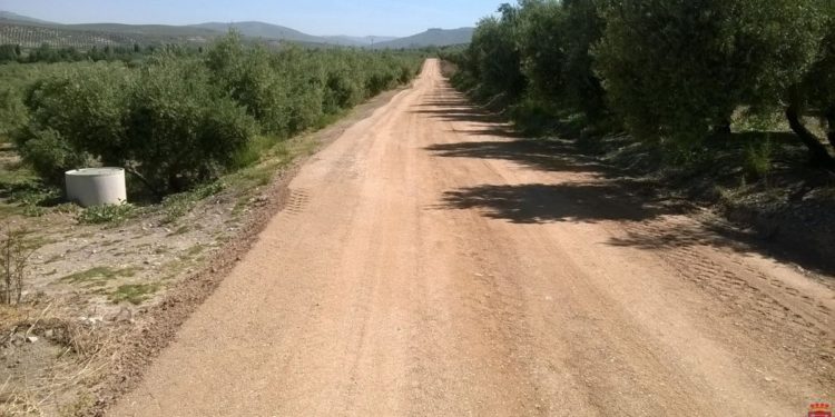 LA MEJORA DE LOS CAMINOS RURALES UNA PRIORIDAD DE CIUDADANOS