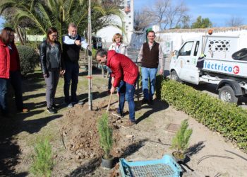 El Ayuntamiento y los vecinos de Las Infantas colaboran en el embellecimiento del barrio con la plantación de más de doscientos árboles y plantas