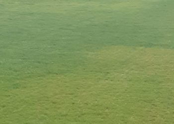 La Victoria ya pinta de verde