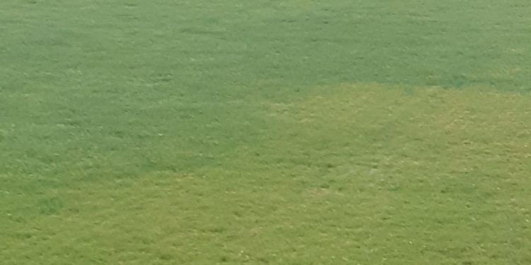 La Victoria ya pinta de verde