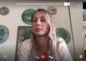 La concejala de Turismo, Elena Rodríguez, presidide las reuniones telemáticas que el Área de Turismo del Ayuntamiento de Úbeda ha mantenido con representantes del sector turístico.