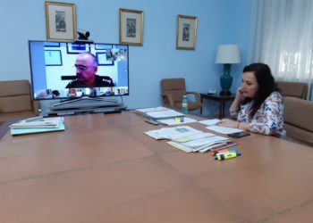 La subdelegada reclama mantener el ejercicio de responsabilidad ciudadana durante la fase de desescalada