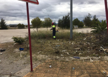 Trabajos de poda, desbroce y limpieza de solares