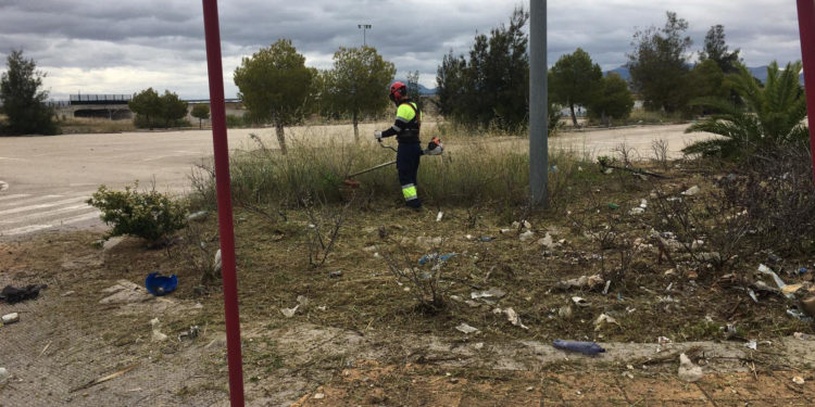 Trabajos de poda, desbroce y limpieza de solares