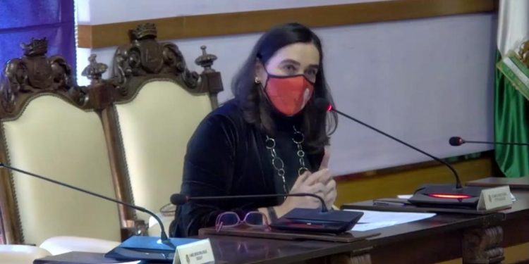 El Ayuntamiento recibirá del Ministerio de Hacienda 5,5 millones de euros, a un 0%