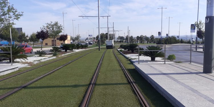 Limpieza trazado tranvía