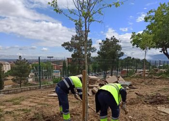 Mas zonas Verdes en la Capital