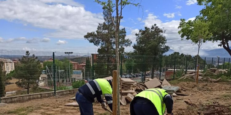 Mas zonas Verdes en la Capital