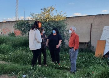 Controlada la colonia de gatos de la calle Jardines