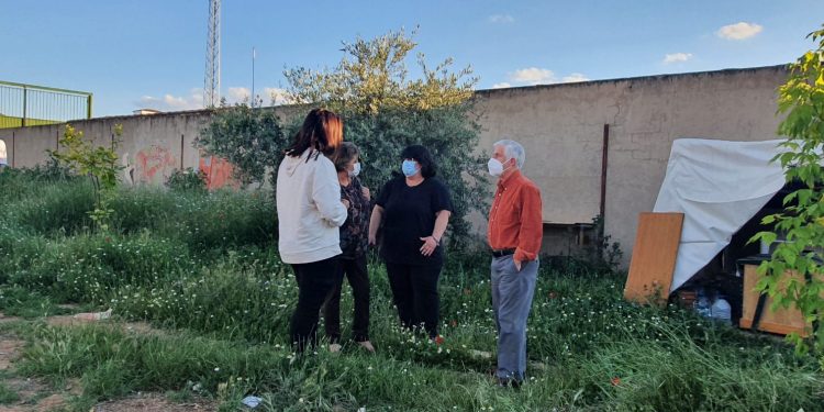 Controlada la colonia de gatos de la calle Jardines