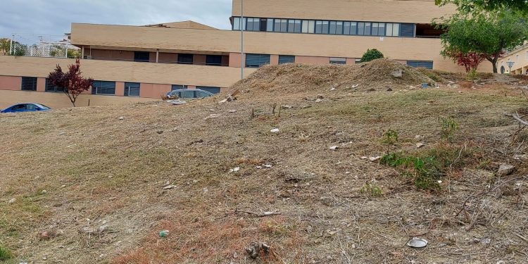 Sigue el trabajo de desbroce por parte del Ayto