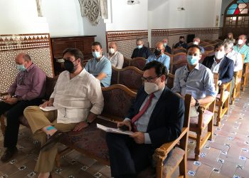 El alcalde pide al CES local apoyo para conseguir que la Junta priorice con urgencia la firma del convenio del tranvía