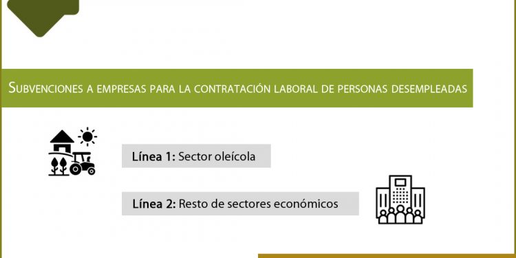 La Diputación lanza una convocatoria de más de 350.000 euros en ayudas a empresas para favorecer la contratación