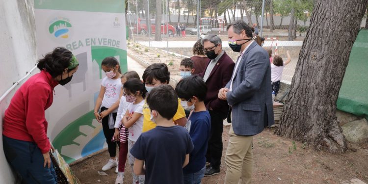 Una treintena de variedades de olivar conforman un jardín promovido por la Diputación en la Vía Verde del Aceite