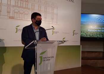 Los miembros de la candidatura de los Paisajes del Olivar en Andalucía analizan aspectos a mejorar del expediente