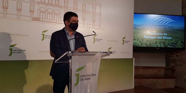 Los miembros de la candidatura de los Paisajes del Olivar en Andalucía analizan aspectos a mejorar del expediente