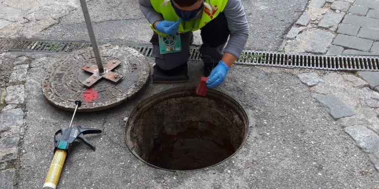 El Ayuntamiento intensificará las labores de desratización y desinsectación en la vía pública hasta alcanzar los 12.000 tratamientos a lo largo del año
