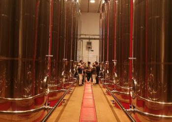 Una visita a una cooperativa y una cata celebran el Día del Aceite