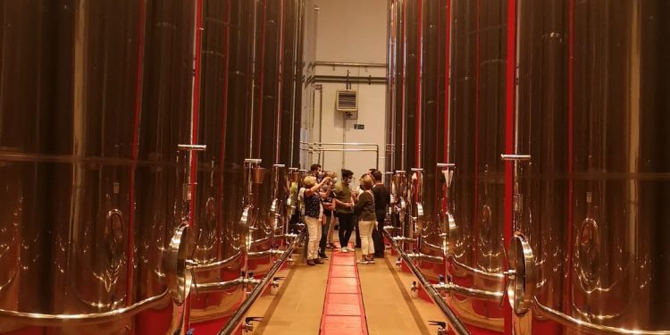 Una visita a una cooperativa y una cata celebran el Día del Aceite