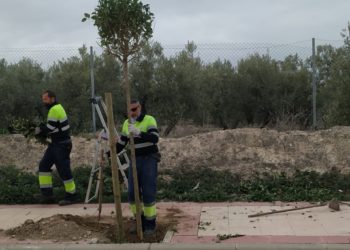 SIGUE EL PROGRAMA DE PLANTACIÓN DEL AYTO DE JAÈN
