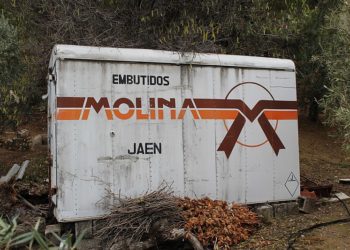 EL ABISMO QUE HABITA EN JAÉN