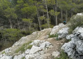 Herido un joven tras recibir un disparo accidental