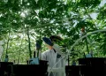 El Gobierno aprueba el uso del cannabis